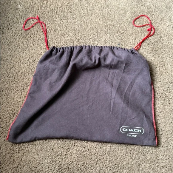 Vintage Y2K Coach Hobo Bag With Dust Bag - Picture 9 of 11